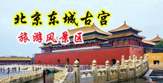 和少妇打炮中国北京-东城古宫旅游风景区